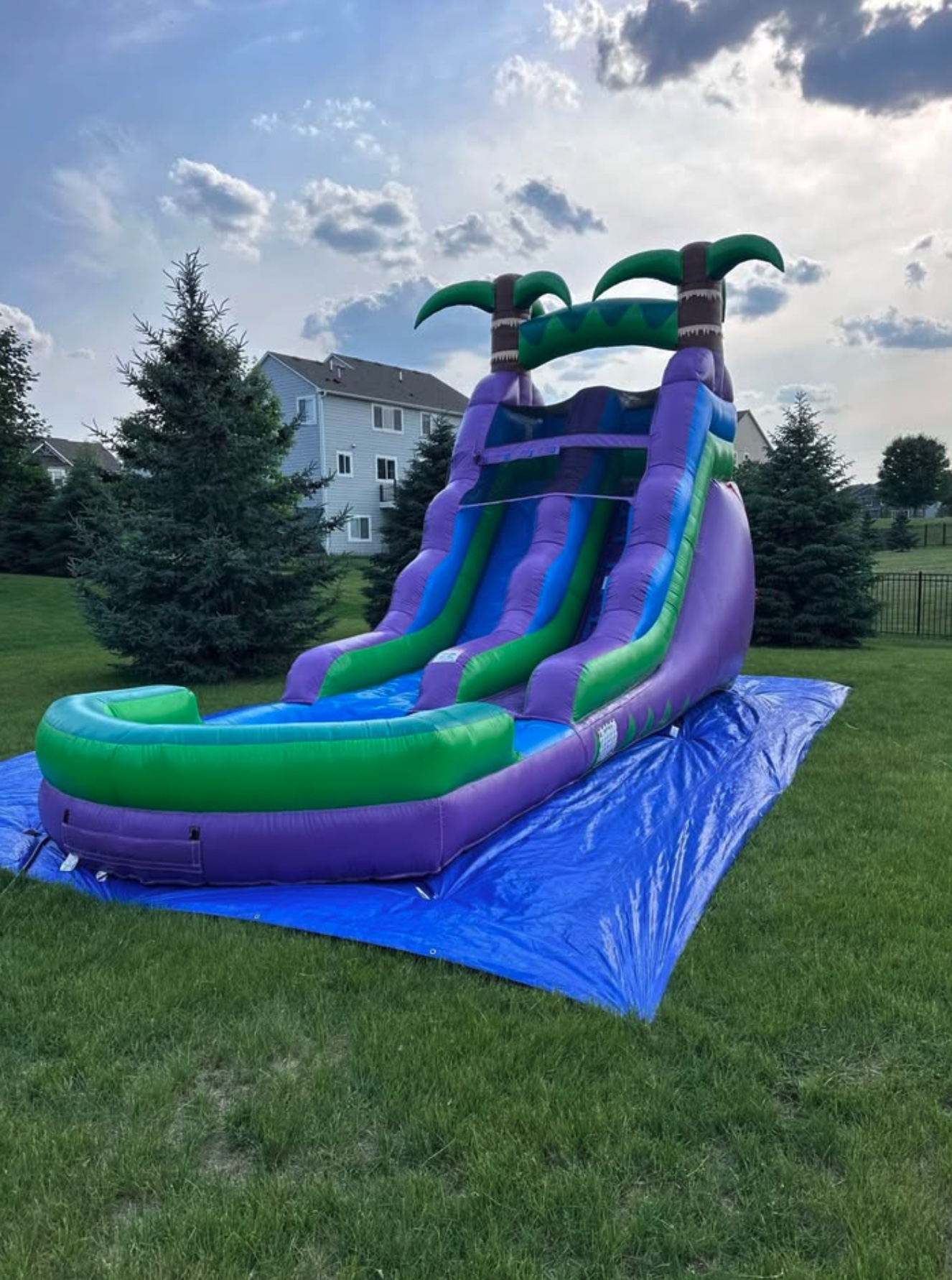 Purple Palm Slide - dimensions