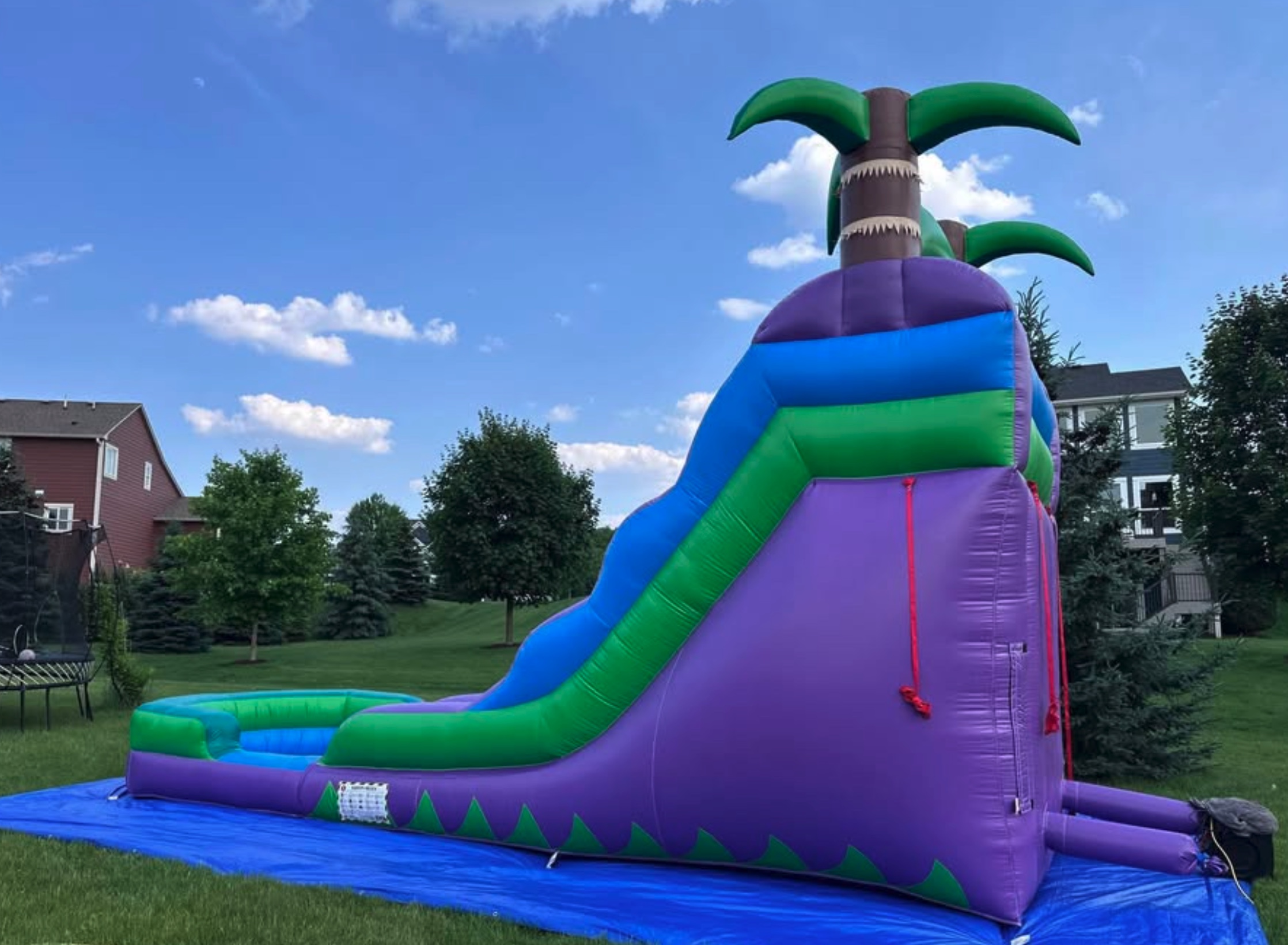 Purple Palm Slide with person